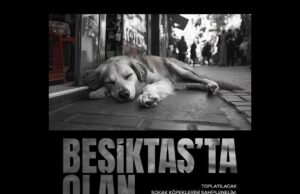 “Beşiktaş’ta olan Beşiktaş’ta kalır”