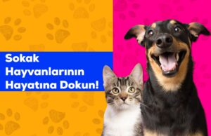 Pazarama’dan Dünya Sokak Hayvanları Günü’ne özel destek.