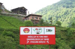 Doğuş Çay ve TEMA Vakfı’ndan sağlıklı topraklar ve sürdürülebilir çay tarımı için ortak adım.