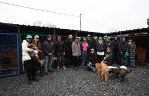 ON Dijital Bankacılık’tan 3. Yılında Anlamlı Proje: Pati Dostları.