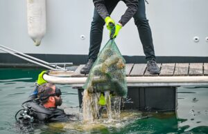 D-Marin, Dünya Çevre Günü’nde 2024 sürdürülebilirlik performansını paylaştı.