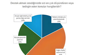 İki kadından biri aracını satarken desteğe ihtiyaç duyuyor.